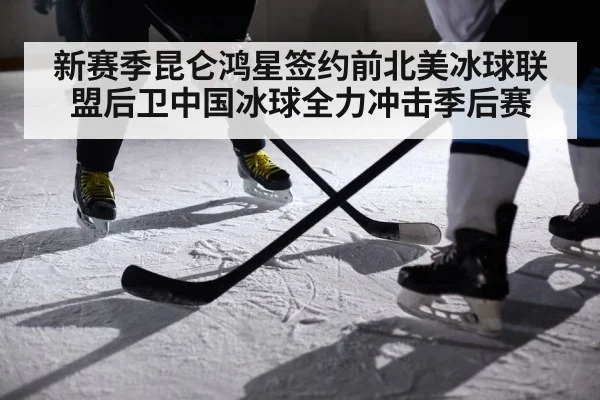 ice hockey player action