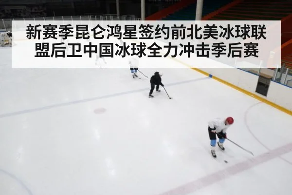 ice hockey rink game